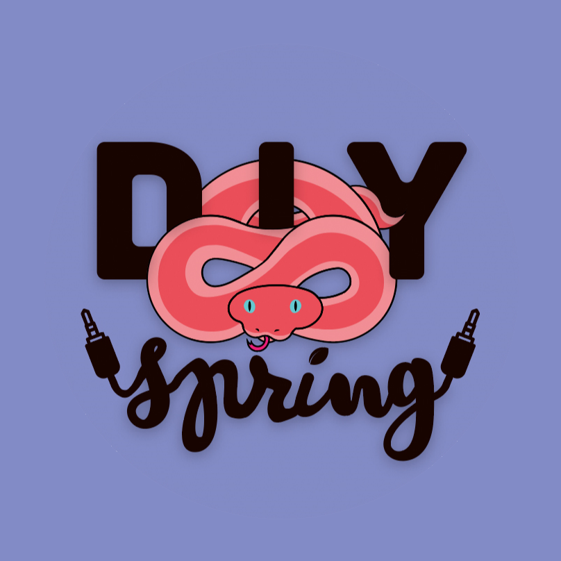 DIY Spring Festival